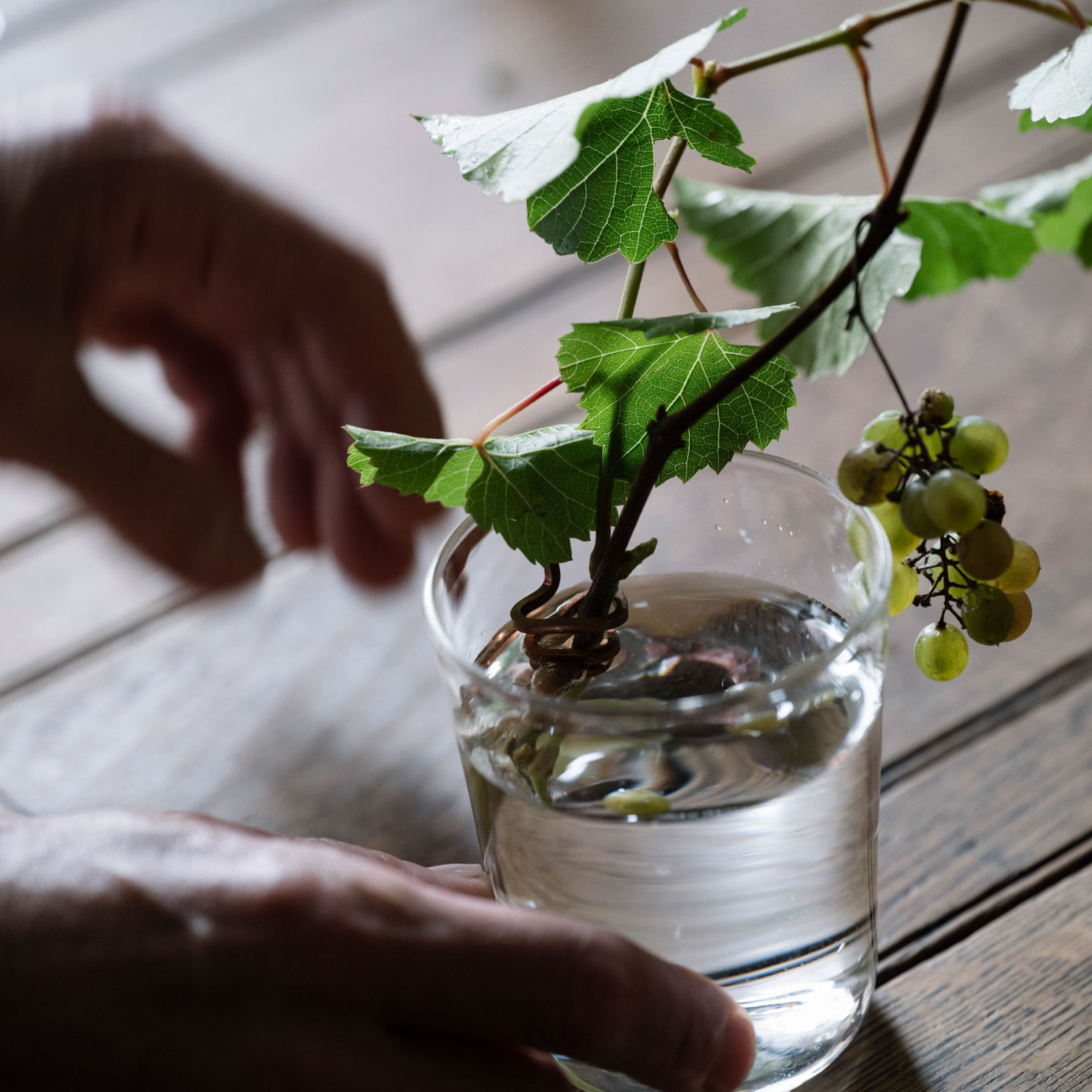 「日々料理をして、器を育てる」